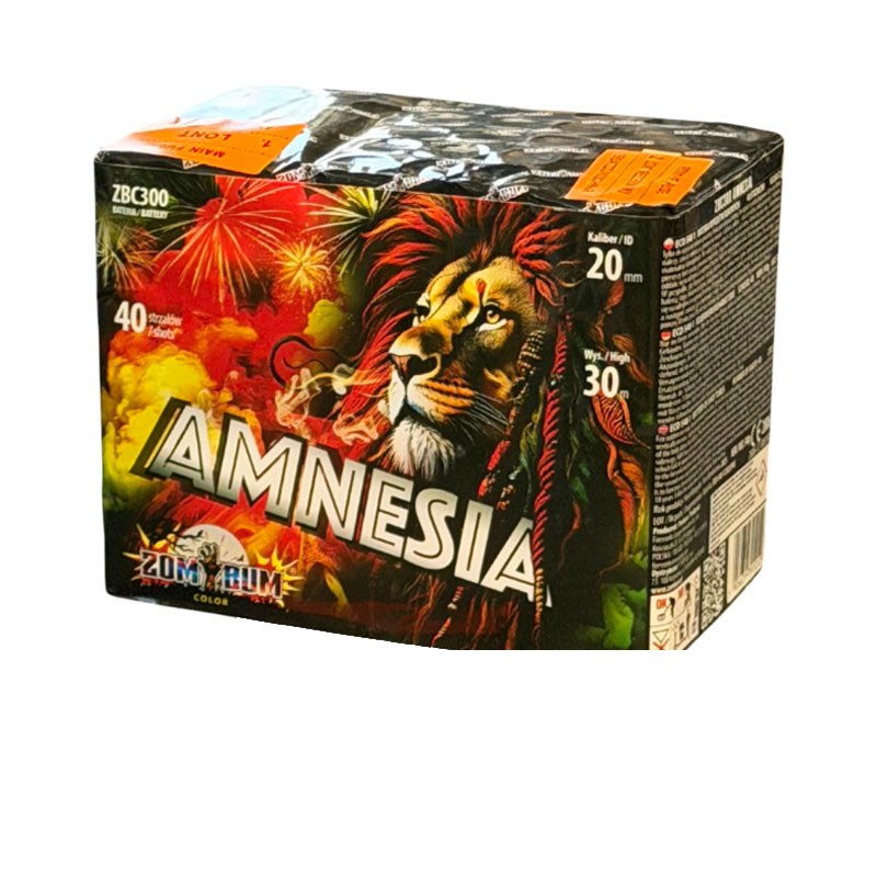 Amnesia – Batterie