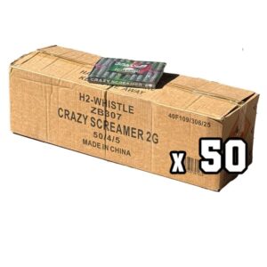 Crazy Screamer 2G ZB307 – Boîte complète – Miko Fumi