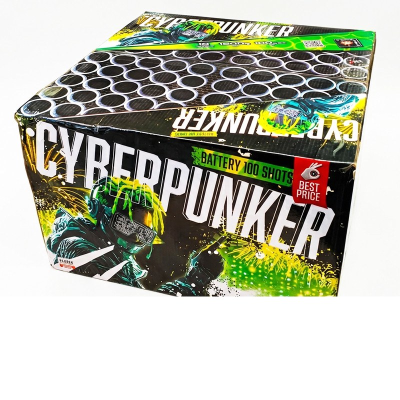 Cyberpunk – Batterie
