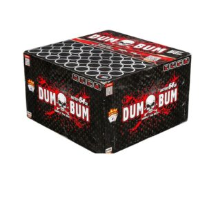 Dum – Batterie – Miko Fumi