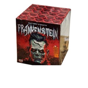 Frankenstein – Batterie – Miko Fumi