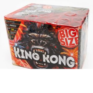 King – Batterie – Miko Fumi