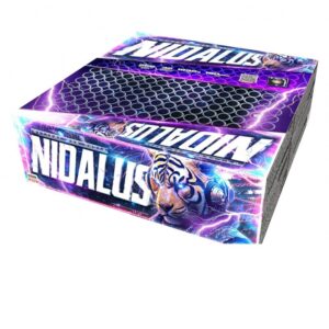 Nidalus – Batterie – Miko Fumi