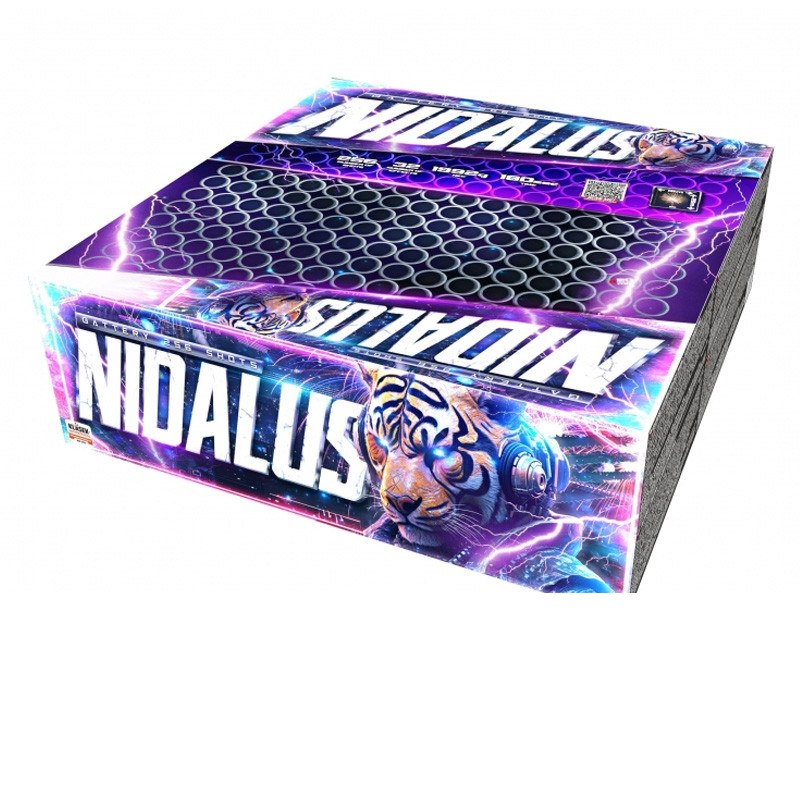 Nidalus – Batterie
