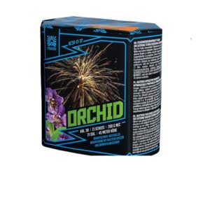 Orchid – Batterie – Miko Fumi