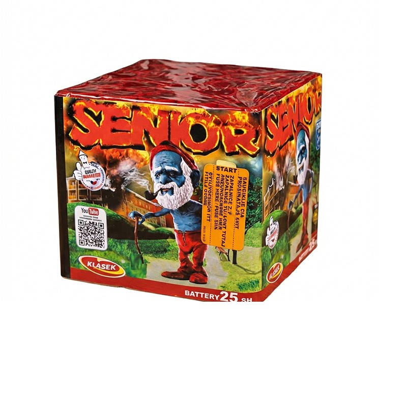 Senior – Batterie