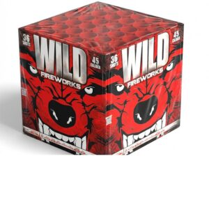Wild – Batterie – Miko Fumi